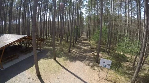 2.7k drone crashes in forest Stock Footage 49797761