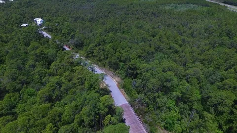 2.7K Drone Rotating Around a Forest Road Vidéo 109356609