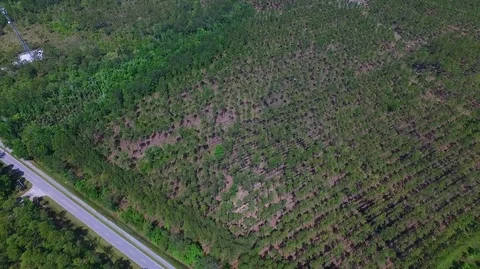 2.7K High Drone Shot Over Trees Stock Footage 109229772