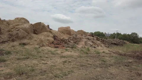 27th July 2022. A compost heap being built in a field for later use as a Stock Footage 202319377