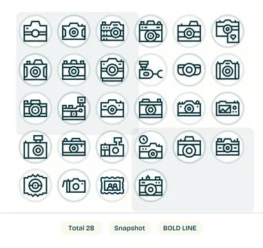 28 Bold Line Grid Fitted Vectors for Snapshot Theme Stock Illustration