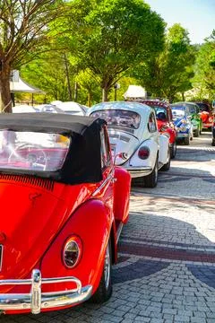 28 July 2024 Bursa Turkey. .Harmancik Beetle camp in Bursa Turkey Stock Photos