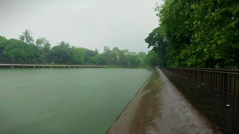 28 Static Horizontal Shot of Rain Falling on Wooden Bridge by Lakeside Path Stock Footage 313649958