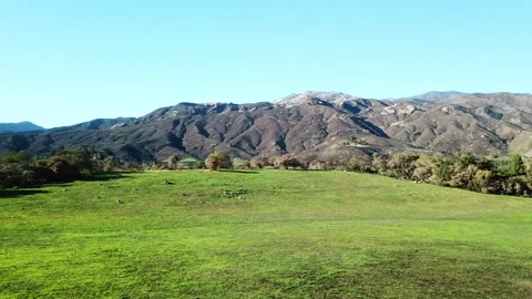 28.01.2018, 34.417, -119.357 Regrowth after the Thomas Fire in Ojai Stock Footage 303520672