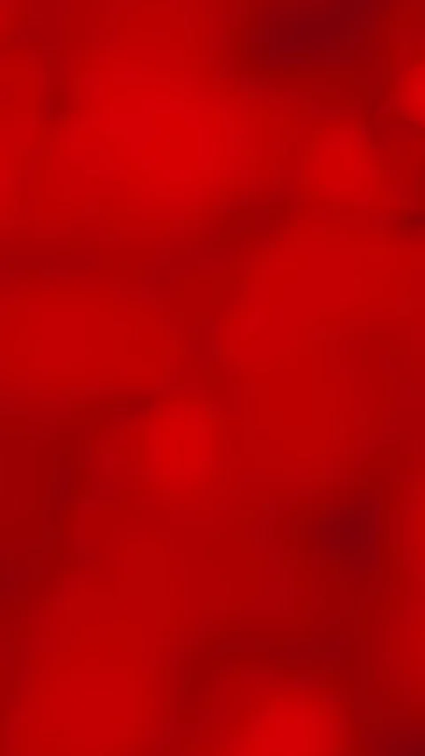 280225 Dark red blurred background (3) Stock Footage 303159729