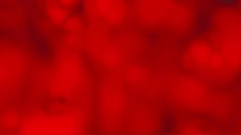 280225 Dark red blurred background (2) Stock Footage 303159773