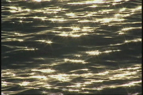 2804 Gold Water Reflection Stock Footage 858671