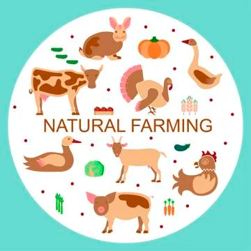 288 Set logotype eco farm Stock Illustration