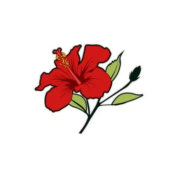 289 Stock Illustration