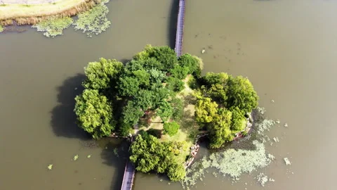 28.There is a lucky four-leaf clover island in Korea. It is a lucky island. Stockbeeldmateriaal 303510477