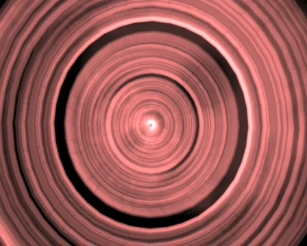 29 Stock Footage 4279656