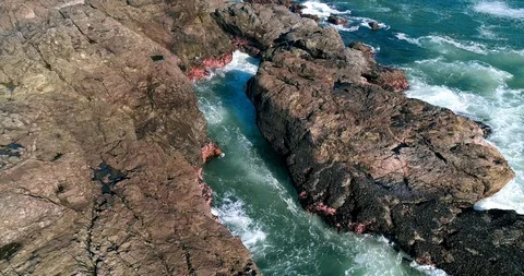 29 Stock Footage 91372433