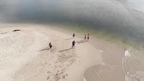 29 Palomino Stock Footage 135764809