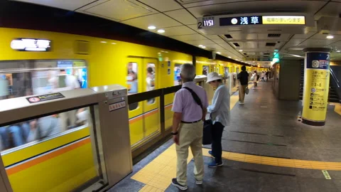 29 Train And People In Subway Station Tokyo Japan Vídeo Stock 345158276