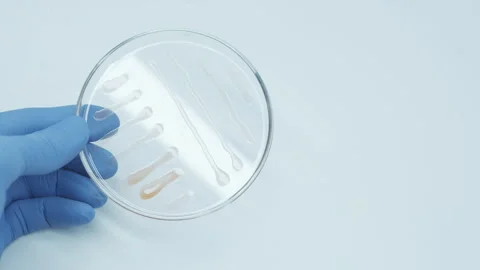 2906 lab blue 30 fps Stock Footage 242806961