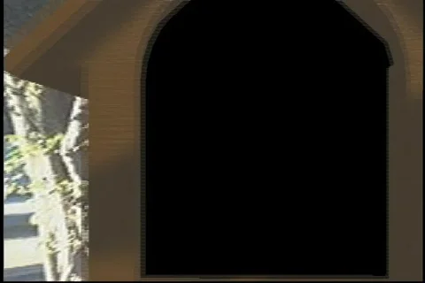 2909 mail boxes open close  Stock Footage 682978