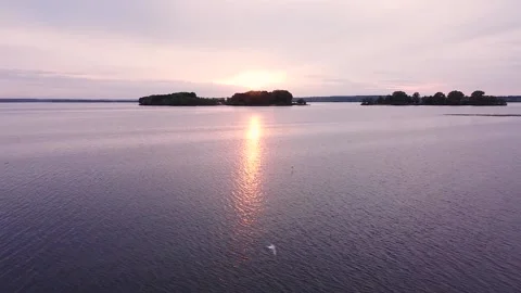 29.14 Stock Footage 195953171