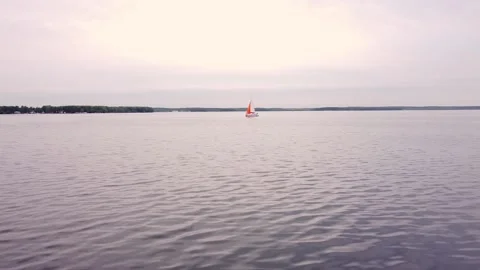 29.17 Stock Footage 195953163