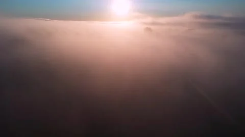 29.21 Stock Footage 195954019