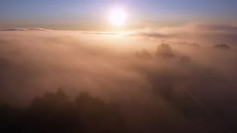 29.22 Stock Footage 195954376