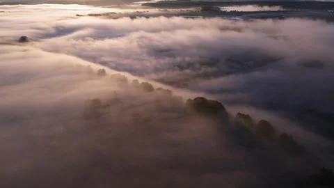 29.23 Stock Footage 195954141