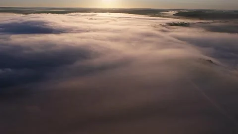 29.24 Stock Footage 195954260