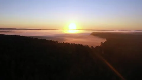 29.25 Stock Footage 195954457