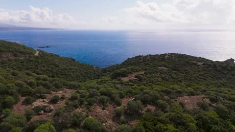 Flight over Forest on the Coast of Sardinia out to sea, Italy - Aerial Drone