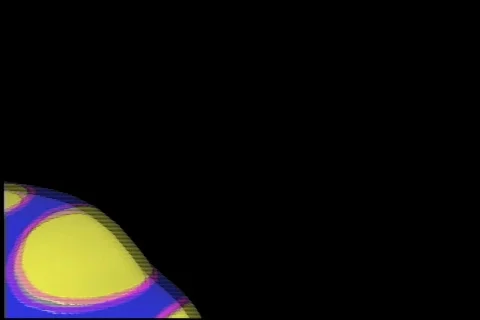2945 Mushroom Lady bug Stock Footage 682639