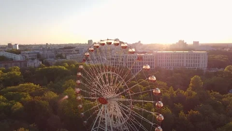 29.5 Stock Footage 195952815