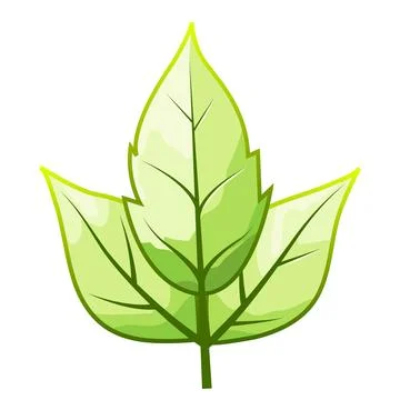 ??? ????? Stock Illustration