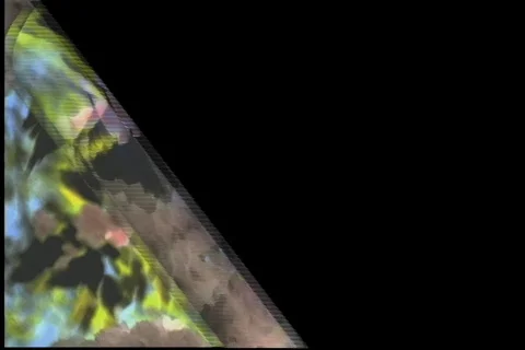 2975 Scissors cut on angle Stock Footage 796886