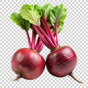 2beetroot-isolated-on-white-background Stock Photos