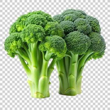 2broccolis-isolated-on-white-background Stock Photos