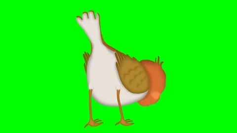 2D animated bird walking on ground in loop, wagging tail on green screen. Stock Footage 295535588