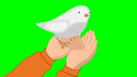 2d animated cartoon character of bird eating wheat in hand. Stock Footage 295535472
