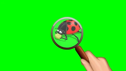 2d animated cartoon character of examining red shoemaker with lens. Stock Footage 295535490