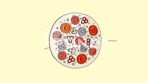 2D animated Pizza ingredients and logo AE project Stock After Effects