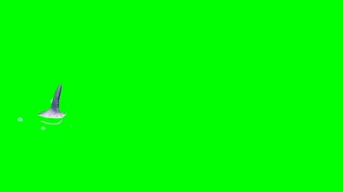 2d animated shark tail out of water, POV in green screen. Vidéo 295536190