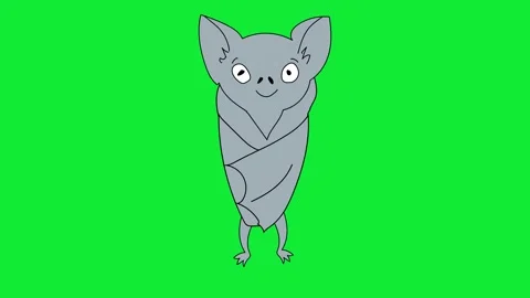 2D Animated Speaking Halloween Bat Green Screen Pack Flying, Standing, Lip Sync Stock Footage 319405298