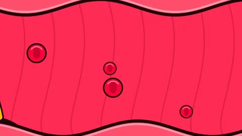 2D Animation Of Blood Cells And Cholesterol Plaque In Artery 스톡 동영상 341072248