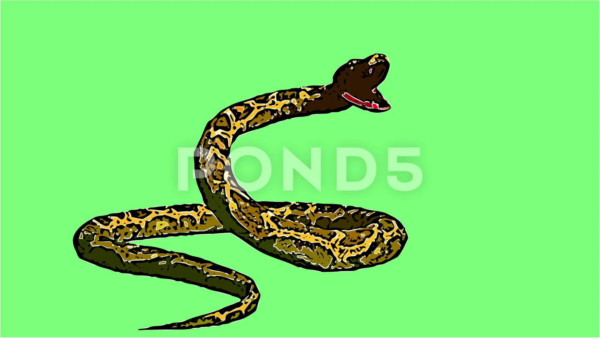 2d animation in comic style - Snake pyth... | Stock Video | Pond5