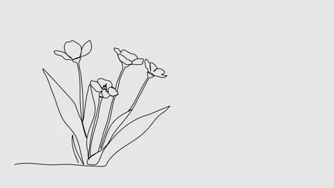 2d animation of particles moving in a circle. Video clip with alpha channel. Stock Footage 308071182