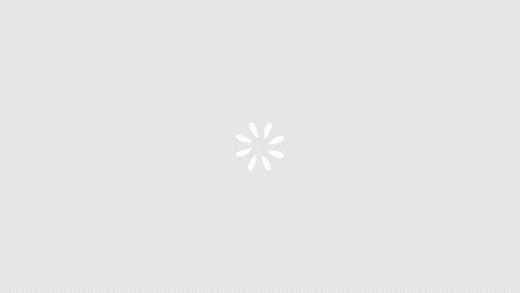 2d animation of particles moving in a circle. Video clip with alpha channel. Stock Footage 308072172