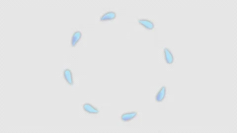 2d animation of particles moving in a circle. Video clip with alpha channel. Stock Footage 308072684