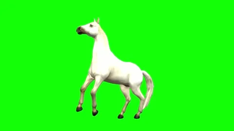 2d animation of wild white horse kicking... | Stock Video | Pond5