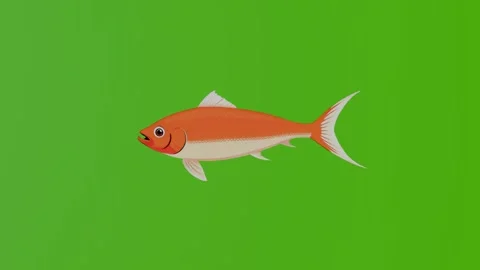 2d animation of a yellow fish isolated on a green background Stock Footage 282659828