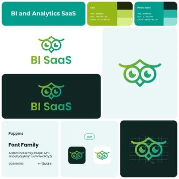 2D BI and analytics SaaS branding template with owl logo Stock Illustration