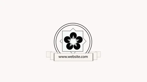 2D Black And White Short Modern Logo Opener Stock After Effects