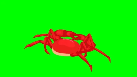 2d bright red crab scuttling on beach, snapping claws. Stock Footage 295535722